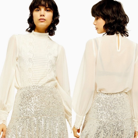 Topshop Sheer Long Sleeve Embroidery Top - Picture 1 of 9